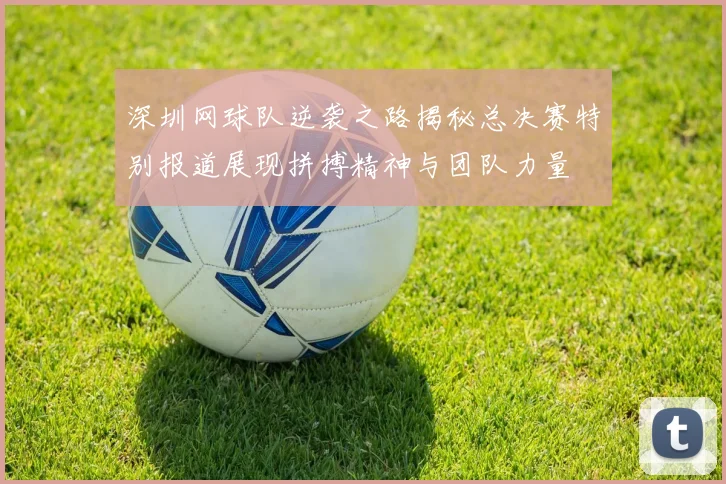 深圳网球队逆袭之路揭秘总决赛特别报道展现拼搏精神与团队力量