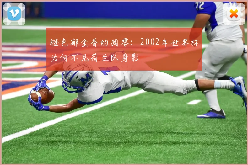 橙色郁金香的凋零：2002年世界杯为何不见荷兰队身影